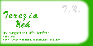 terezia meh business card